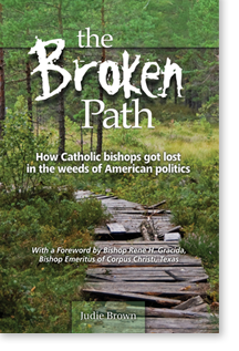 A work of love for the Church: a must read for every Catholic with desire to return our nation to a righteous path and our society to a culture of life.